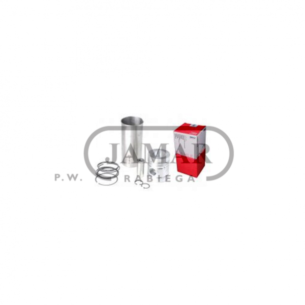Zestaw naprawczy silnika MF-4 cyl. 0437990 MAHLE G-0220